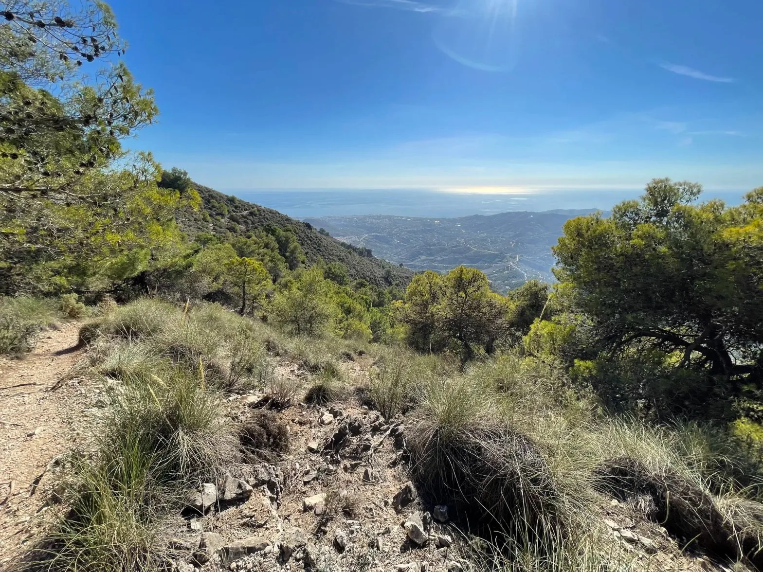 A footpath on El Fuerte above Frigiliana, pines either side and the valley falling away to the Mediterranean
