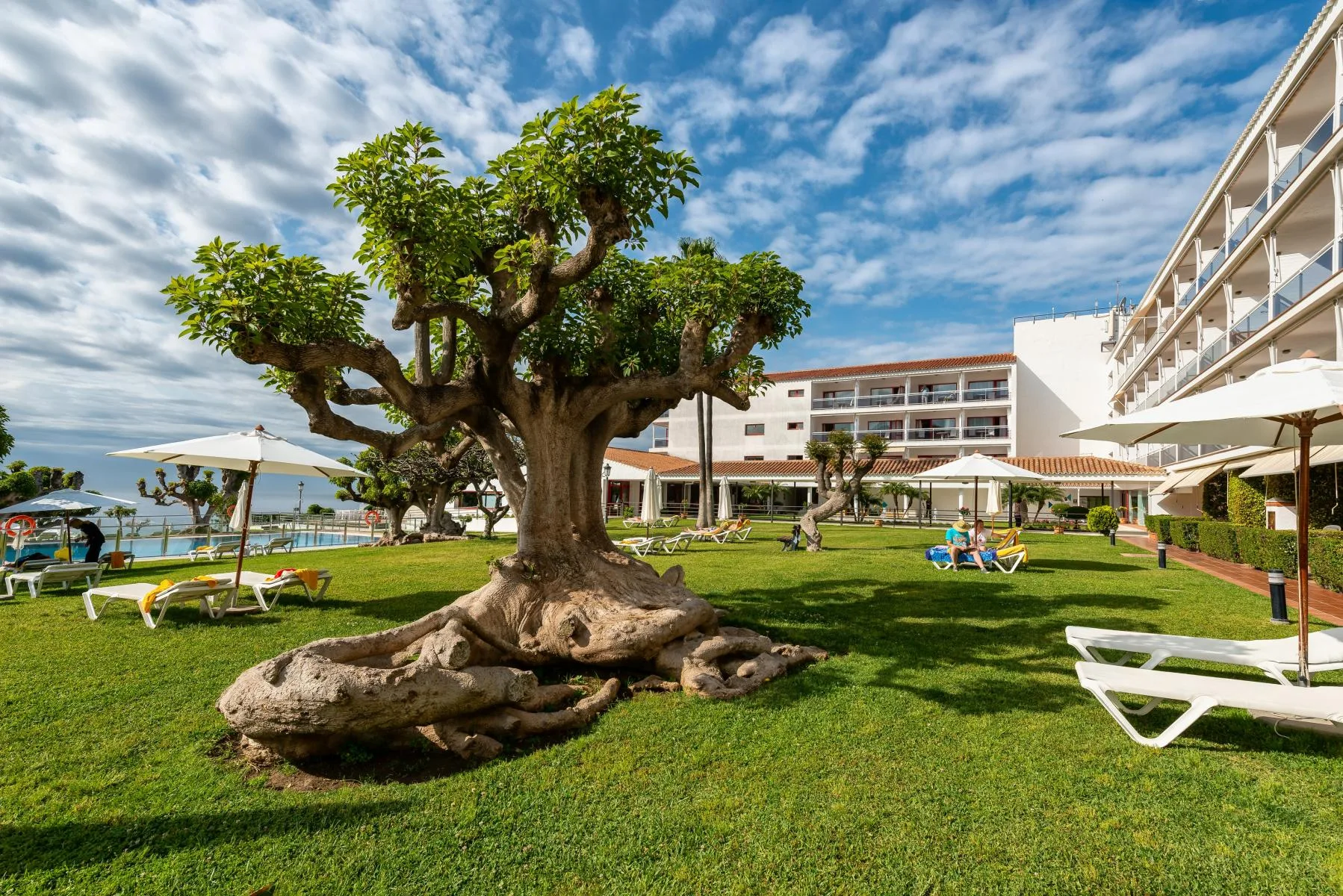 Parador de Nerja clifftop terrace