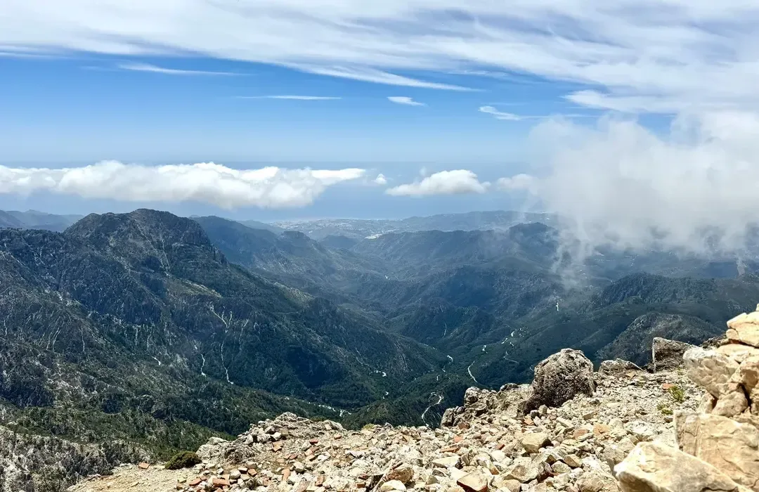 Hiking trail through pine forest in the Sierra de Almijara above Frigiliana