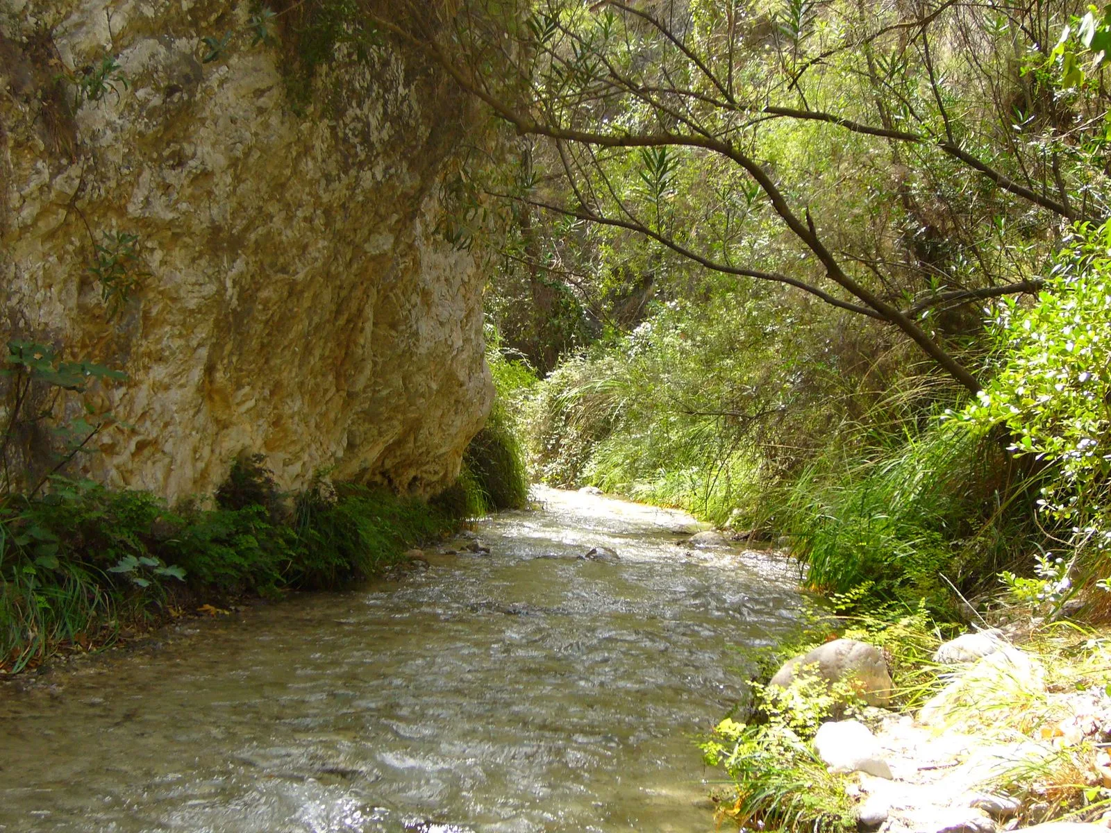Hikers wading through the turquoise waters of the Rio Chillar gorge near Nerja