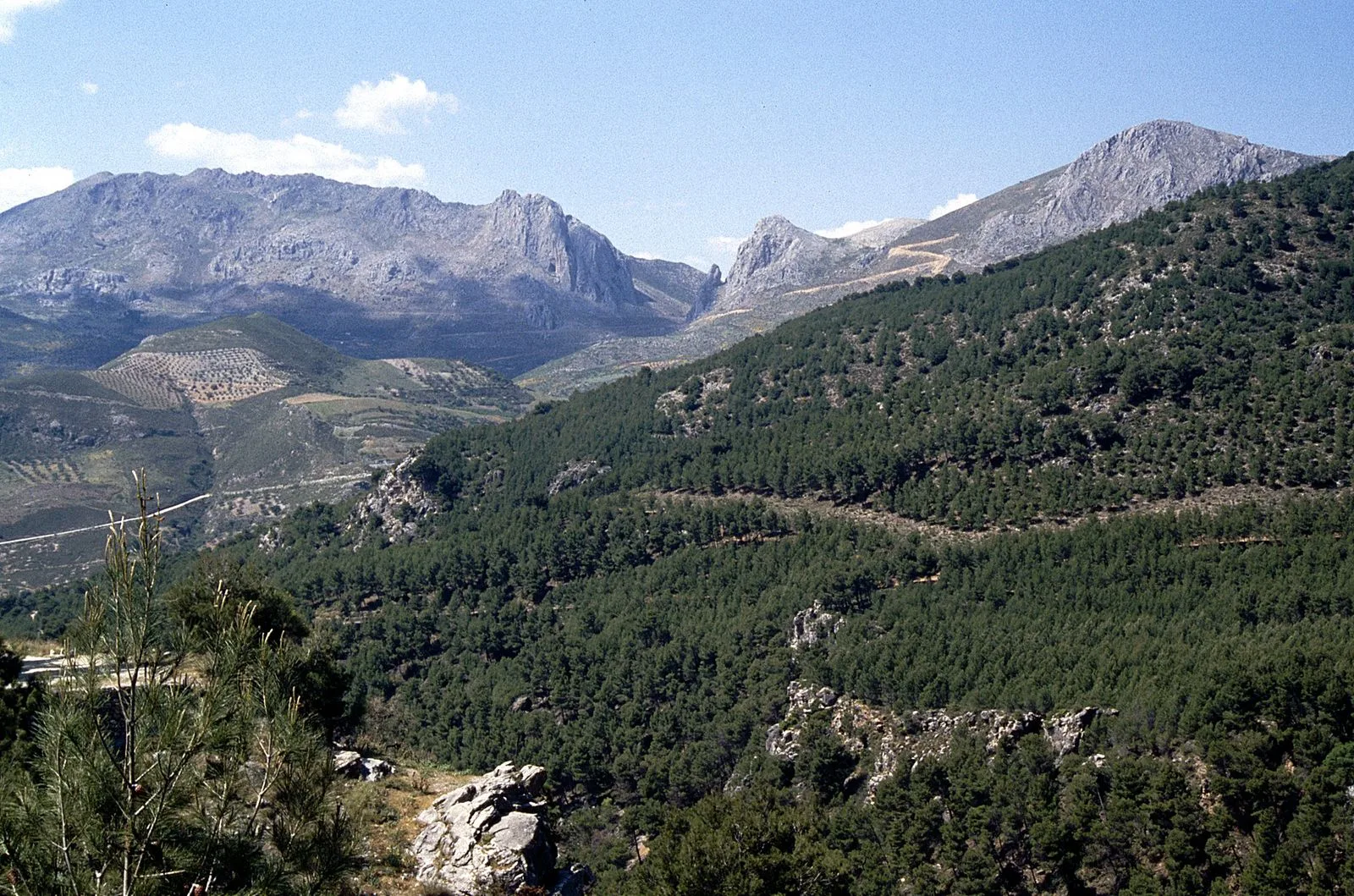 Sierra de Tejeda